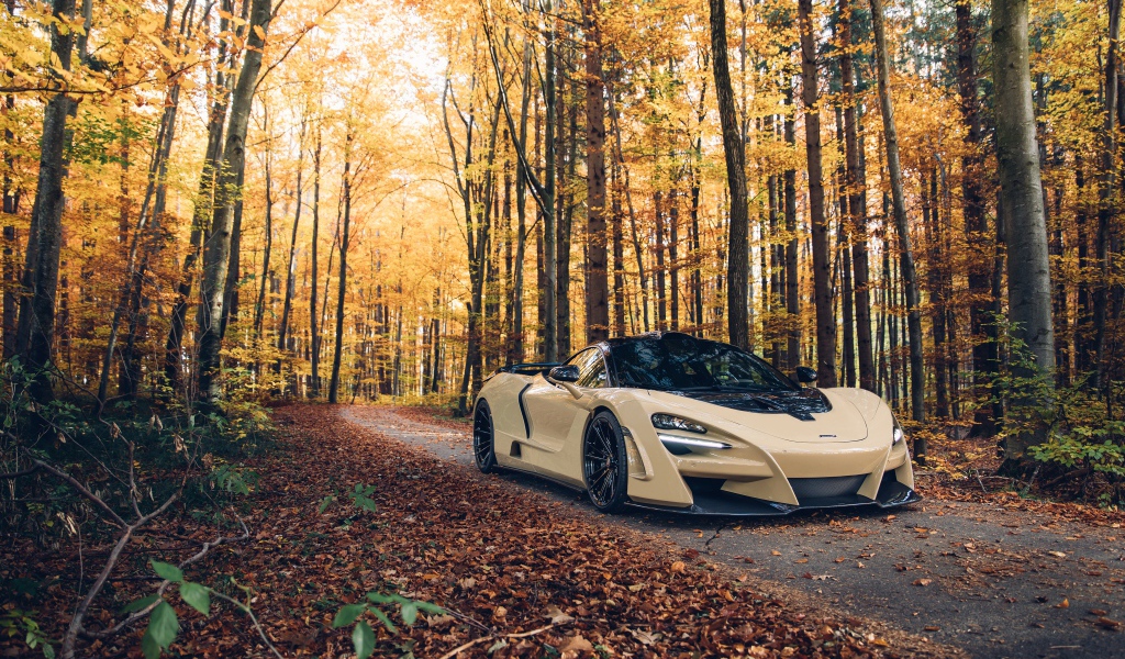 Быстрый автомобиль McLaren 720S в лесу