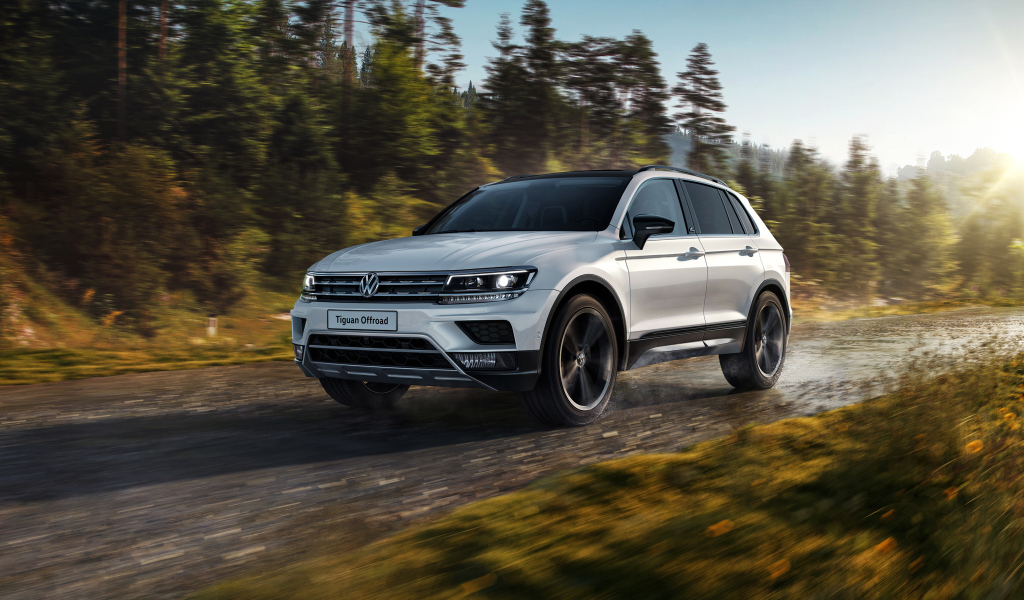 Серебристый внедорожник Volkswagen Tiguan на фоне леса 