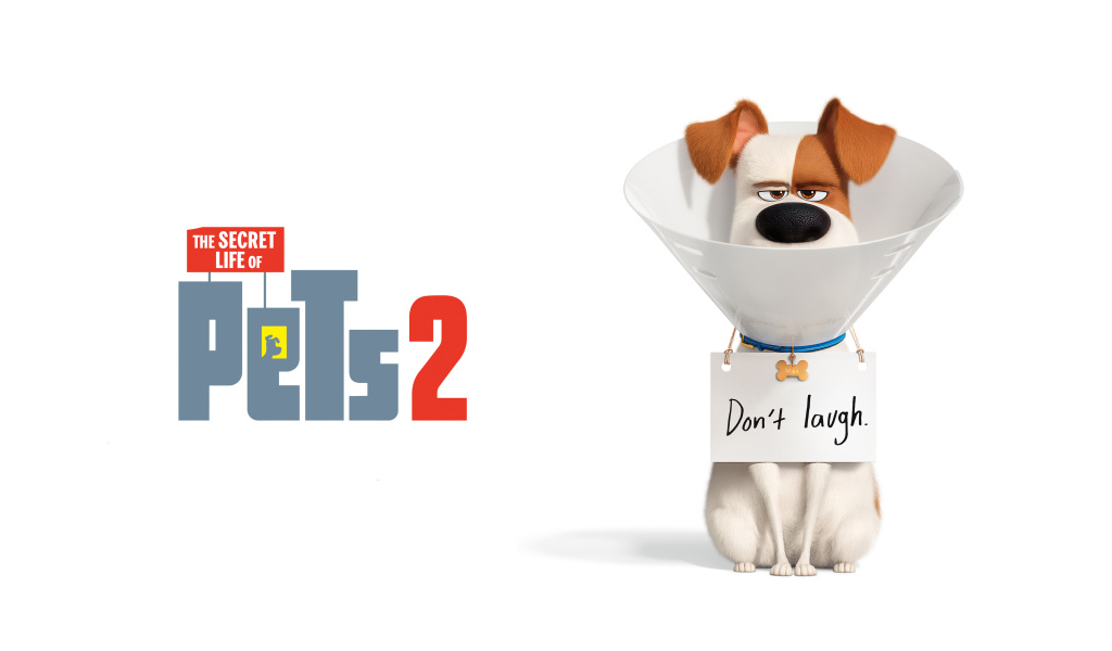 Постер мультфильма  Тайная жизнь домашних животных 2