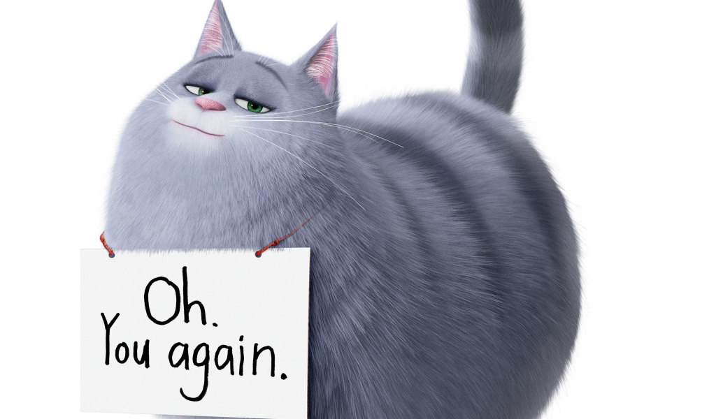 Кошка Хлоя из Тайная жизнь домашних животных 2 на белом фоне