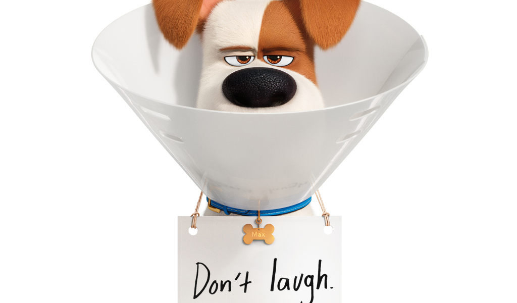Jack Russell Terrier Max from the cartoon The Secret Life of Pets 2