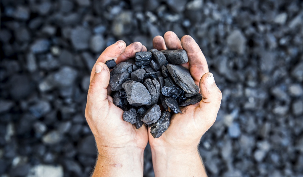 Куски угля в руках у мужчины 
