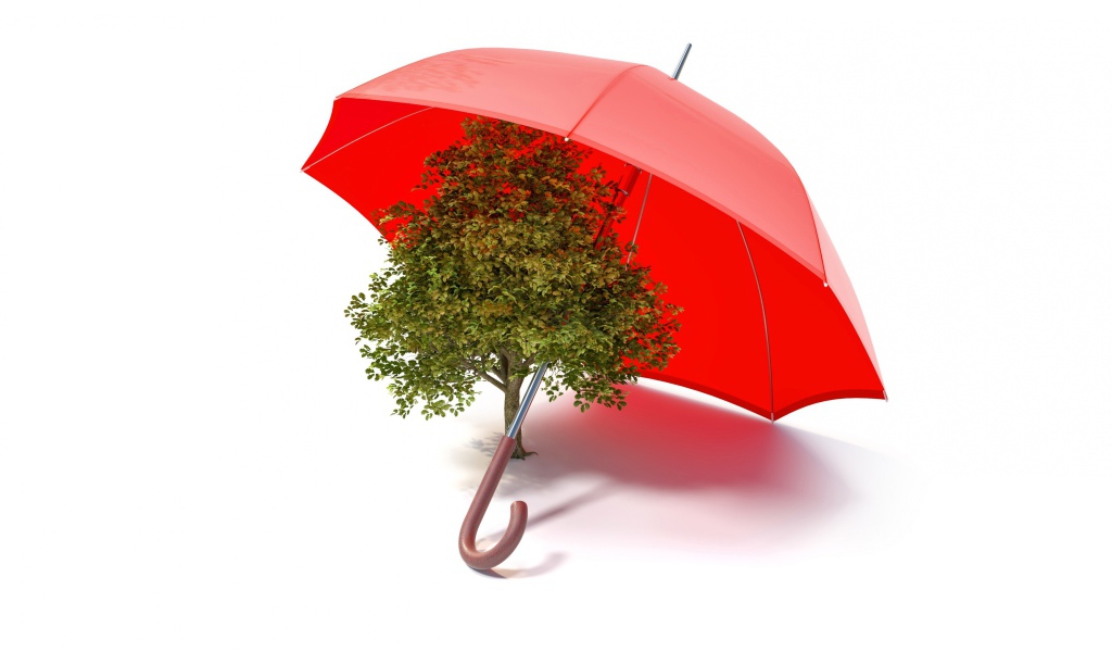 Зеленое дерево под красным зонтом на белом фоне