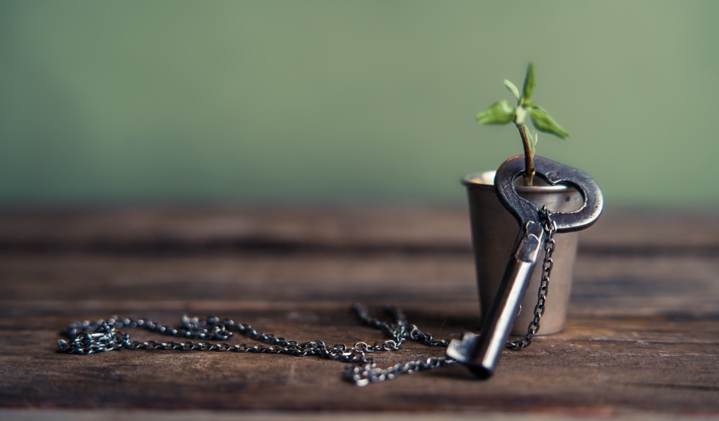 Ключ на цепочке одет на веточку в стакане