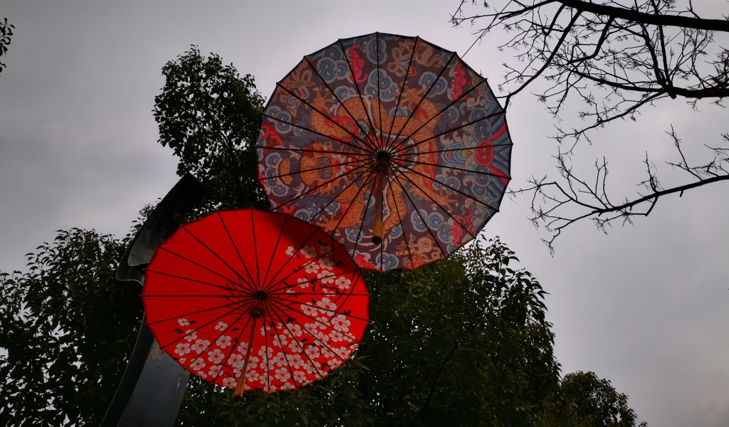 Два разноцветных японских зонтика на фоне неба