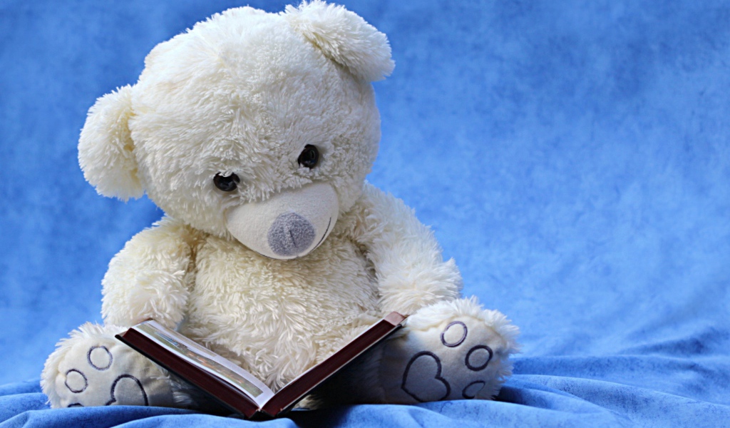 Белый плюшевый мишка с книгой на голубом фоне 