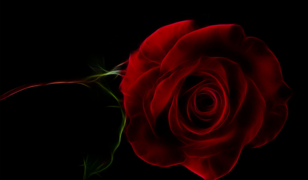 Нарисованная красная роза на черном фоне