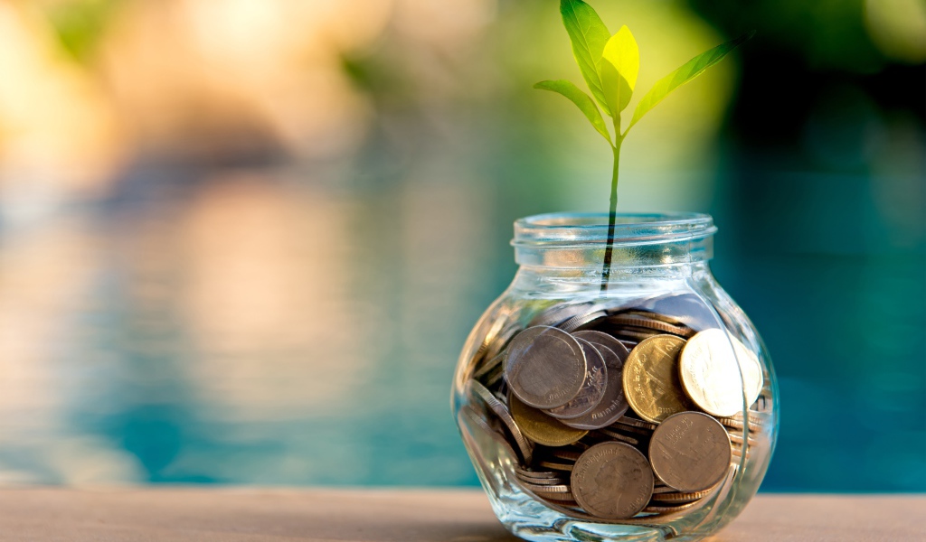 Зеленый росток прорастает из копилки 