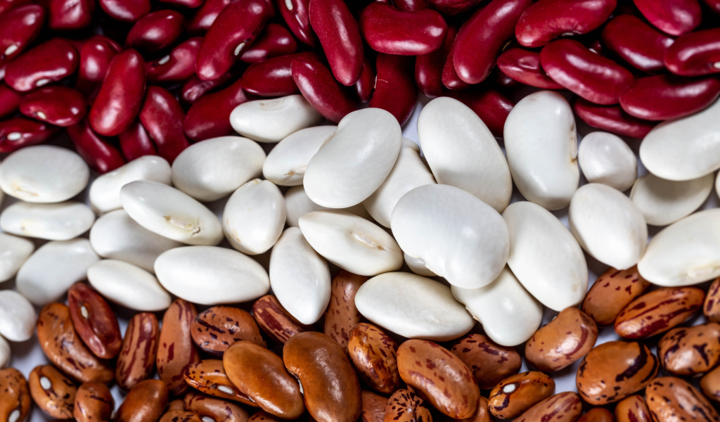 Много разноцветной фасоли крупным планом