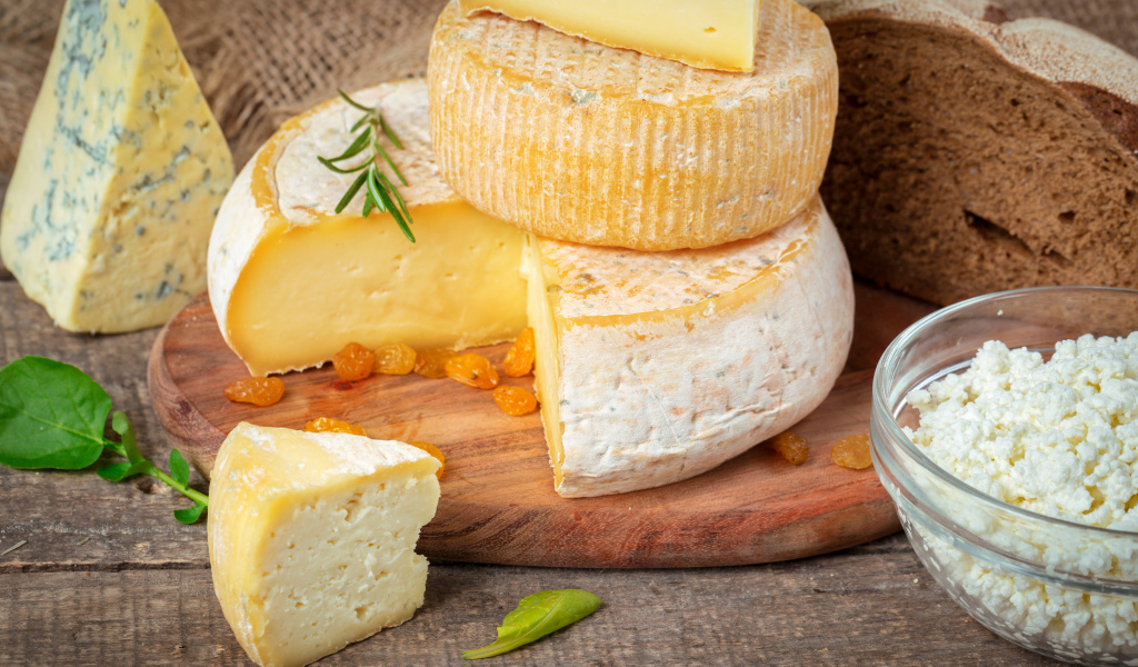 Сыр с плесенью на столе с хлебом и творогом