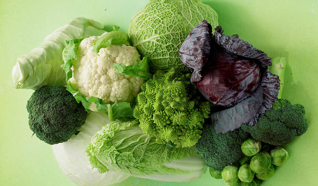 Разные виды капусты на зеленом фоне крупным планом