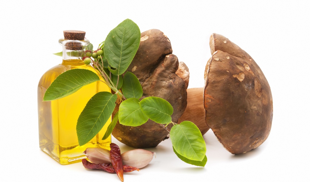 Грибы на белом фоне с оливковым маслом и чесноком