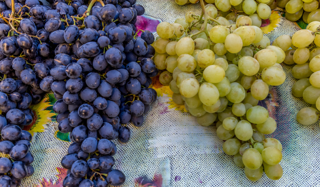 Большие гроздья синего и белого винограда на столе