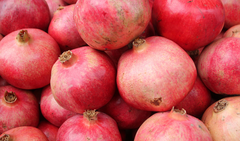 Много красных плодов граната крупным планом