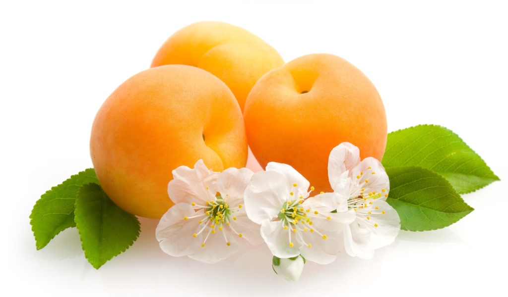 Спелые сочные абрикосы с цветами на белом фоне