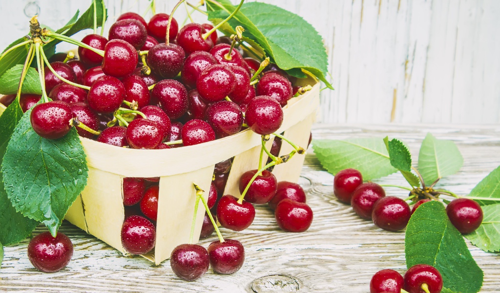 Спелые красные вишни в корзинке на столе