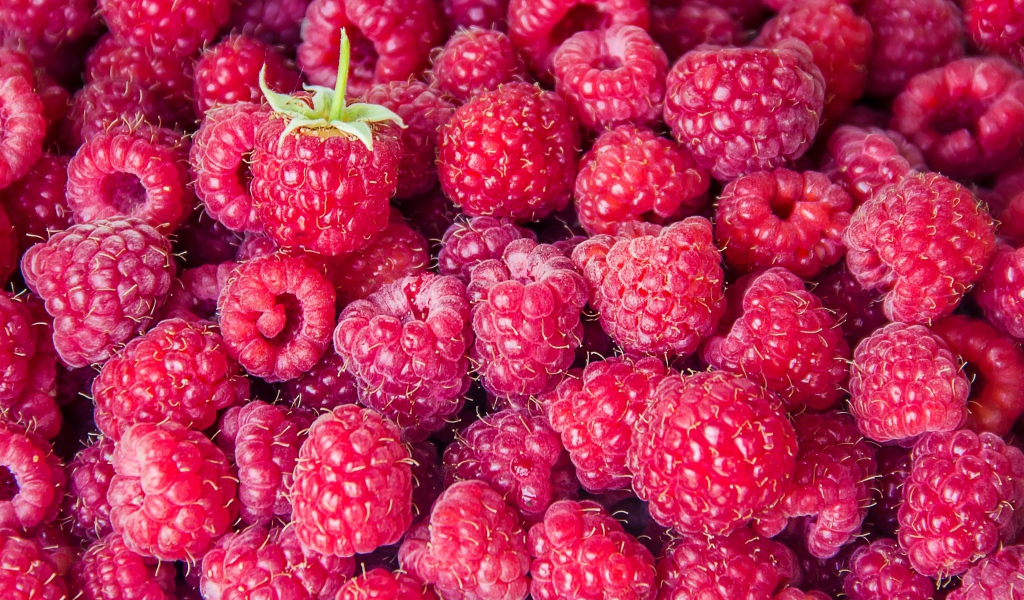 Вкусная спелая малина крупным планом