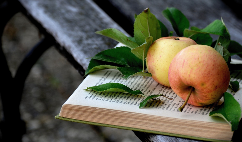 Два яблока лежат на книге на деревянной лавке