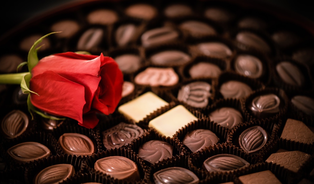 Красная роза лежит на коробке с шоколадными конфетами ассорти 