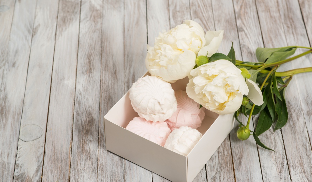 Белые пионы на столе с зефиром 