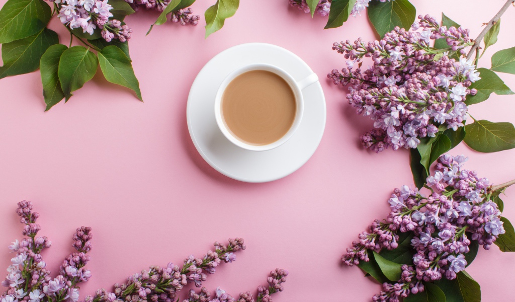 Белая чашка с какао на розовом фоне с цветами сирени