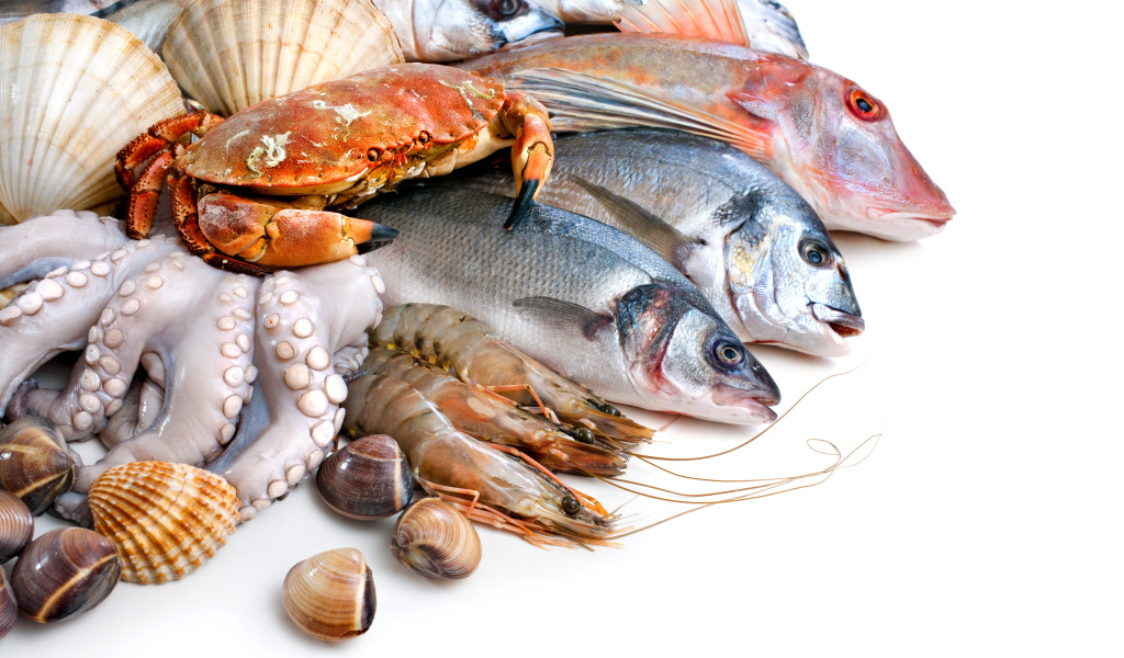 Many different seafood on white background