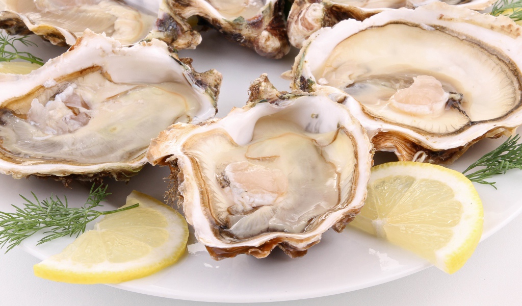 Устрицы с лимоном и укропом на белой тарелке