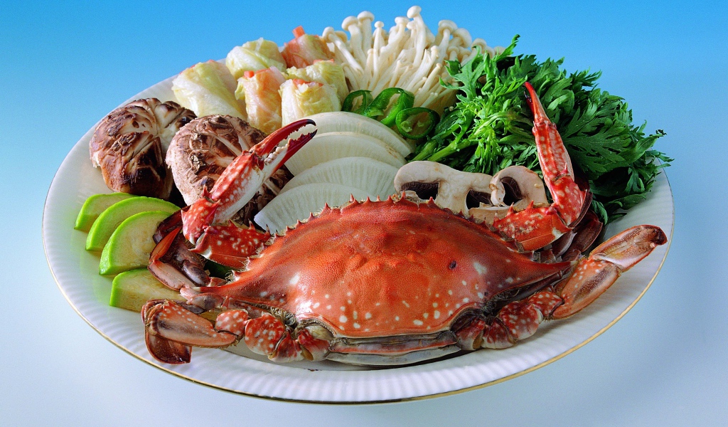 Морепродукты на тарелке с зеленью на голубом фоне