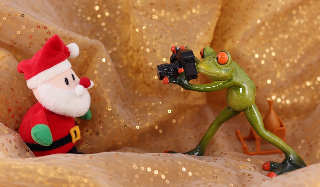 Зеленая жаба фотографирует Деда Мороза