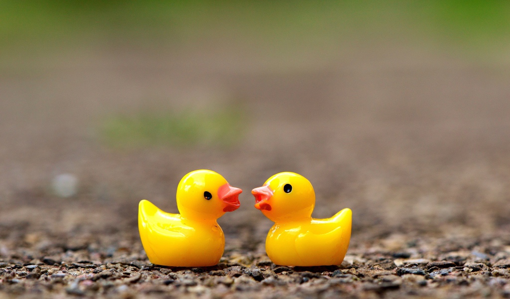 Две игрушечных желтых уточки на асфальте 
