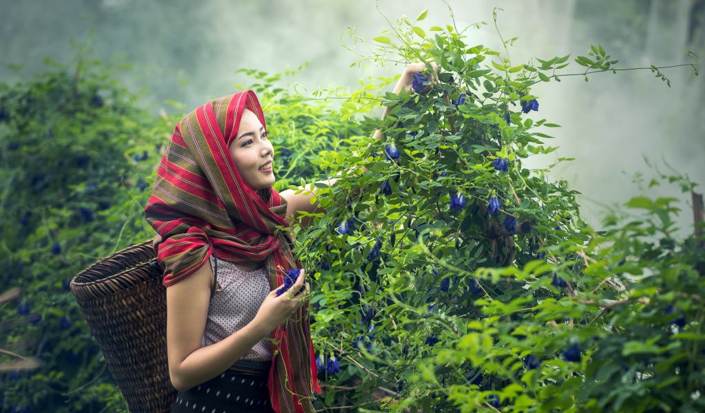 Девушка азиатка собирает цветы в корзину