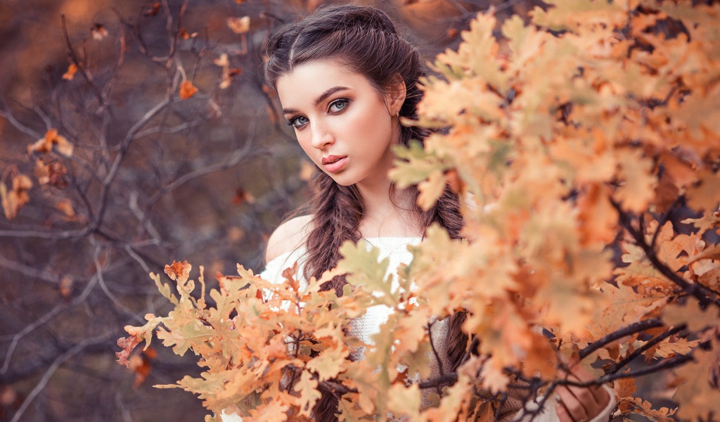 Красивая девушка с косами на фоне желтых листьев 