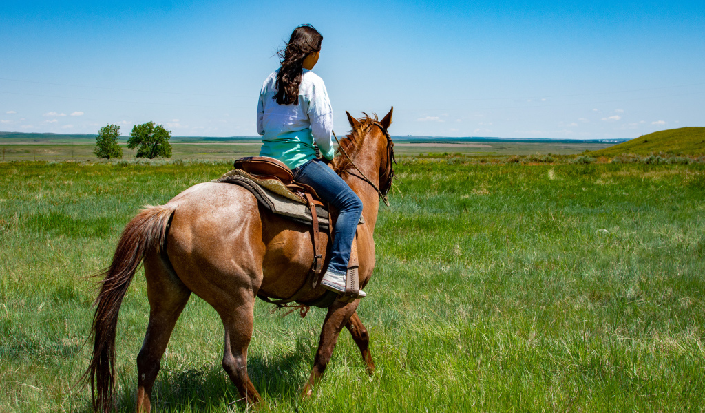 Молодая девушка едет на лошади по зеленой траве