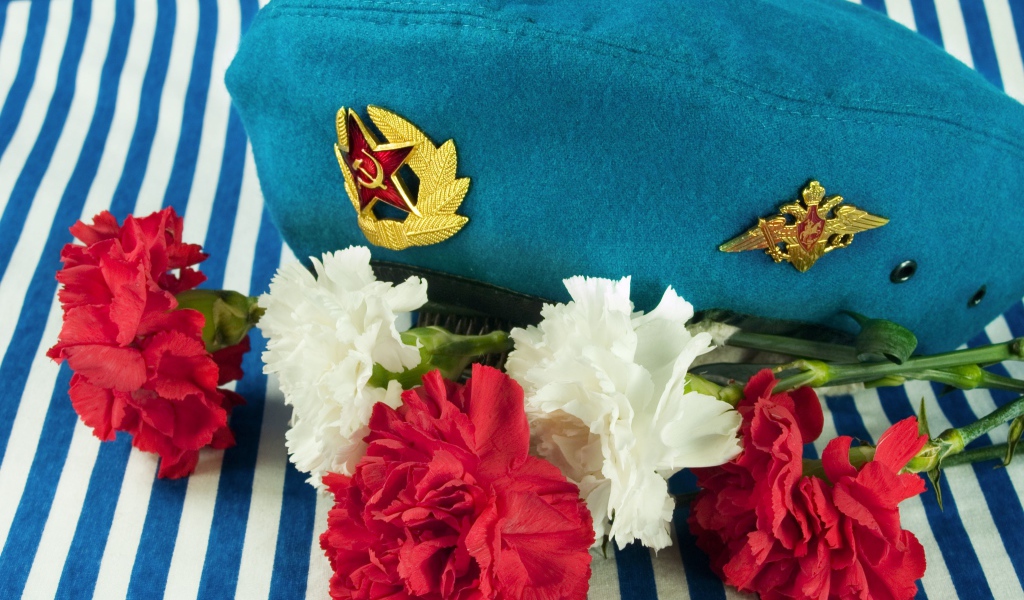 Букет гвоздик, берет ВДВ и тельняшка на 9 мая 