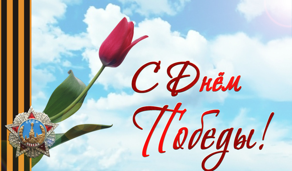 Звезда победы с  тюльпаном на праздник 9 мая