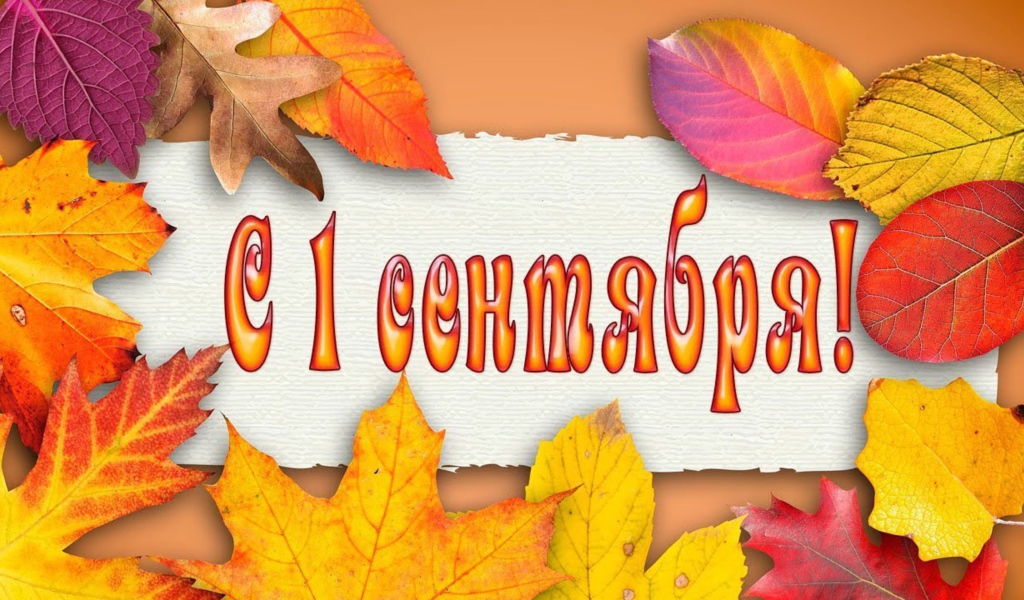 Желтые листья на 1 сентября день знаний