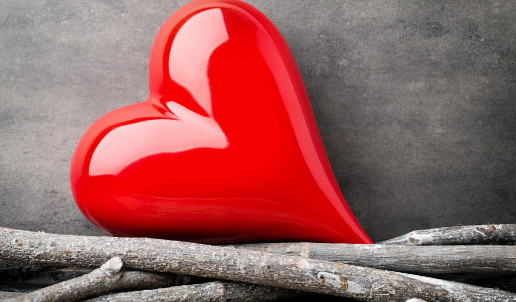 Большое красное сердце лежит на ветках на фоне серой стены