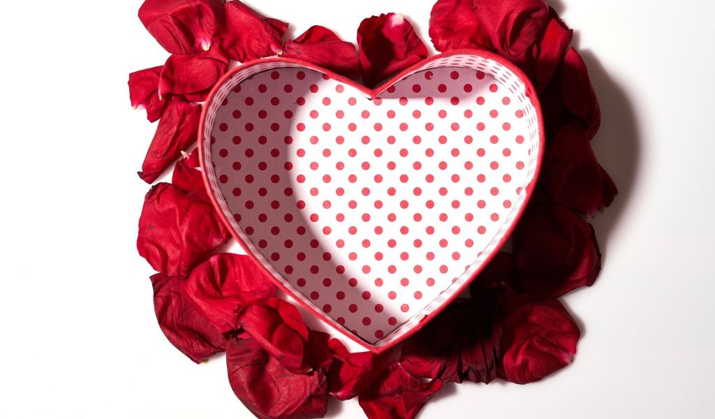 Подарочная коробка в форме сердца с лепестками красной розы на белом фоне