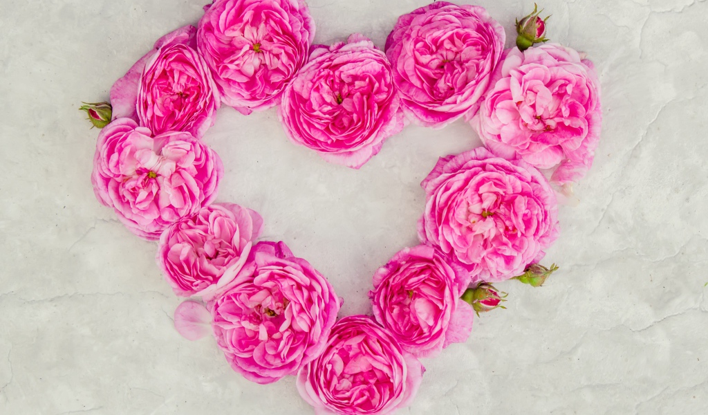 Сердце из розовых роз на сером фоне