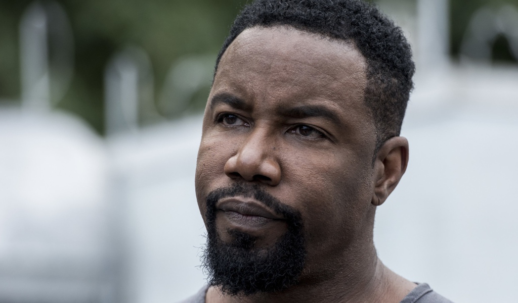 Американский актер Майкл Джей Уайт лицо крупным планом