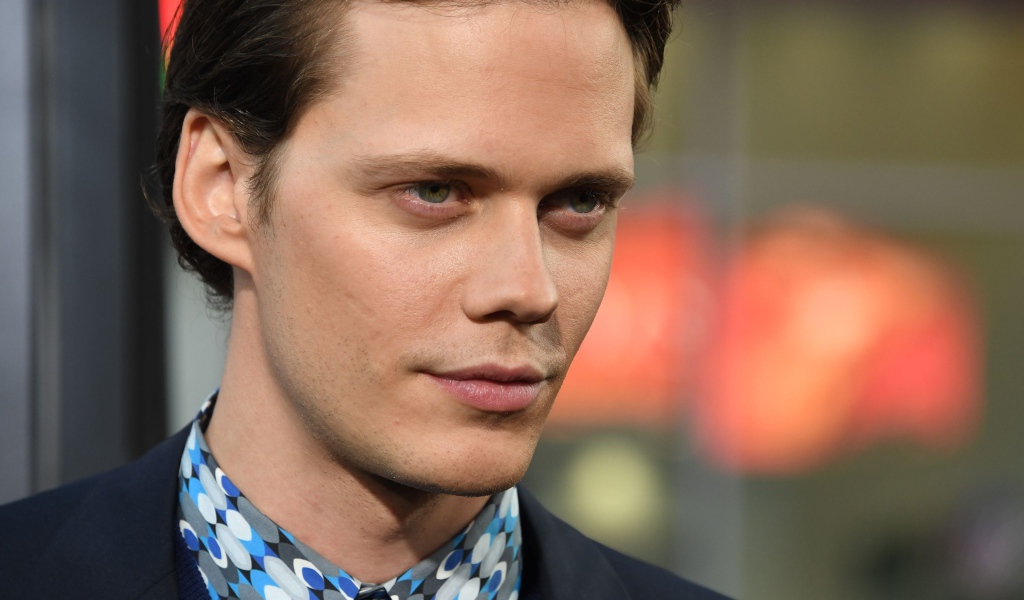 Красивый мужчина, актер Билл Скарсгорд