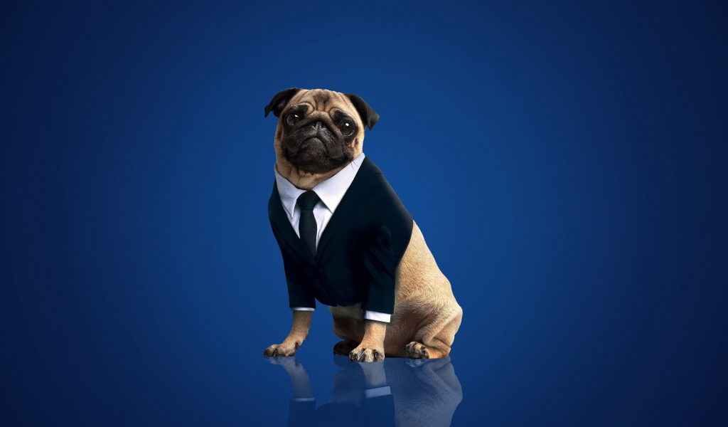 Фрэнк персонаж фильма Люди в чёрном: Интернэшнл, 2019