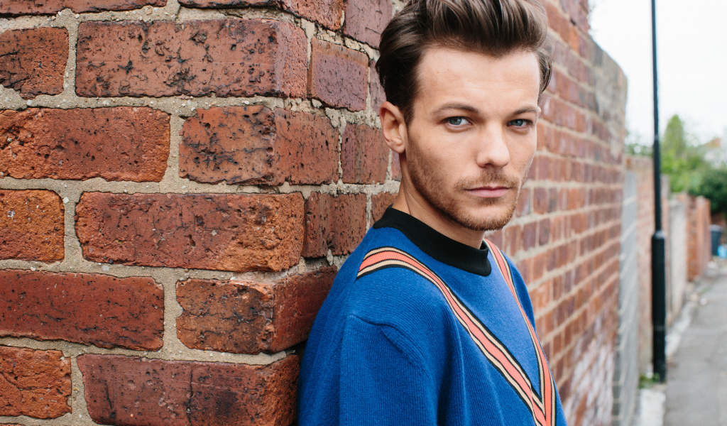 Красивый мужчина, английский певец Луи Томлинсон