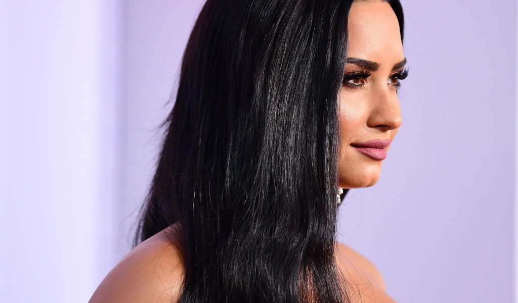 Длинноволосая брюнетка певица Деми Ловато