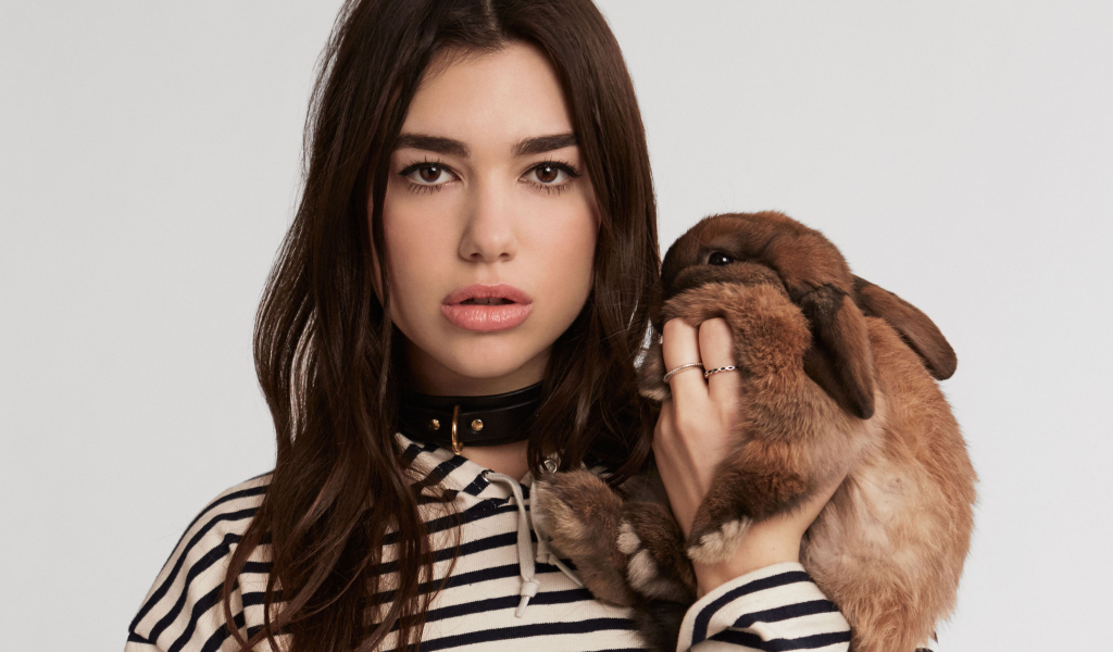 Певица Дуа Липа с декоративным кроликом в руках
