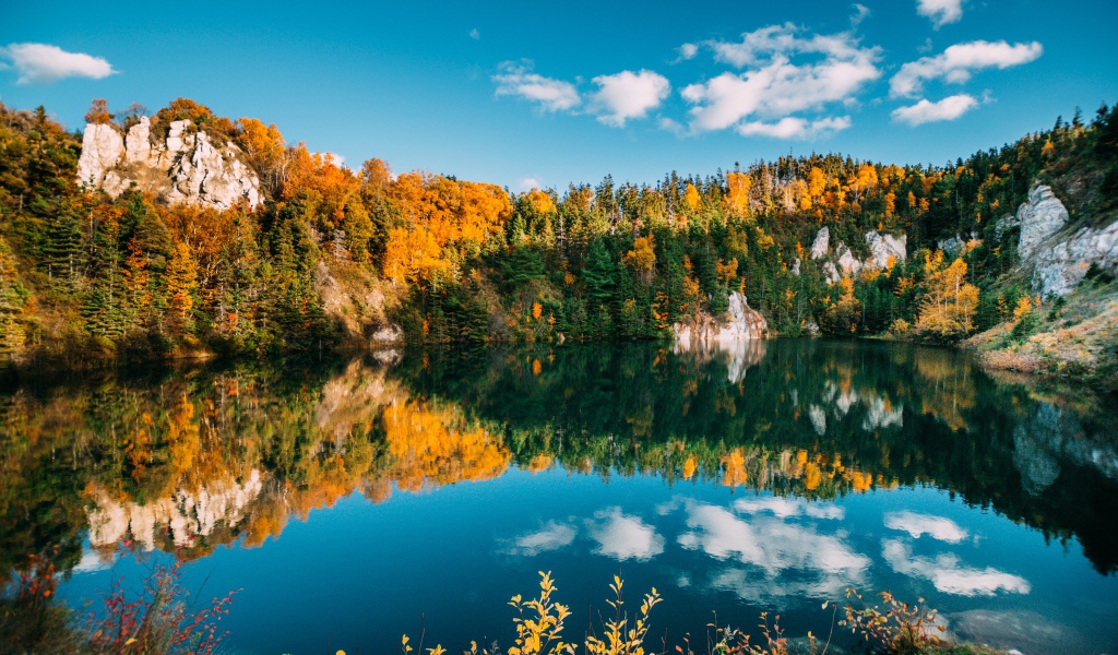 Голубое небо и лес отражаются в воде чистого горного озера