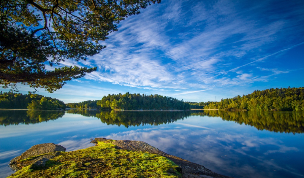 Голубое небо и зеленые деревья отражаются в воде