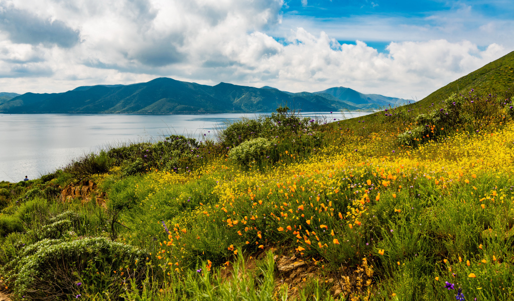 Зеленая трава на берегу озера у гор под голубым небом с облаками 