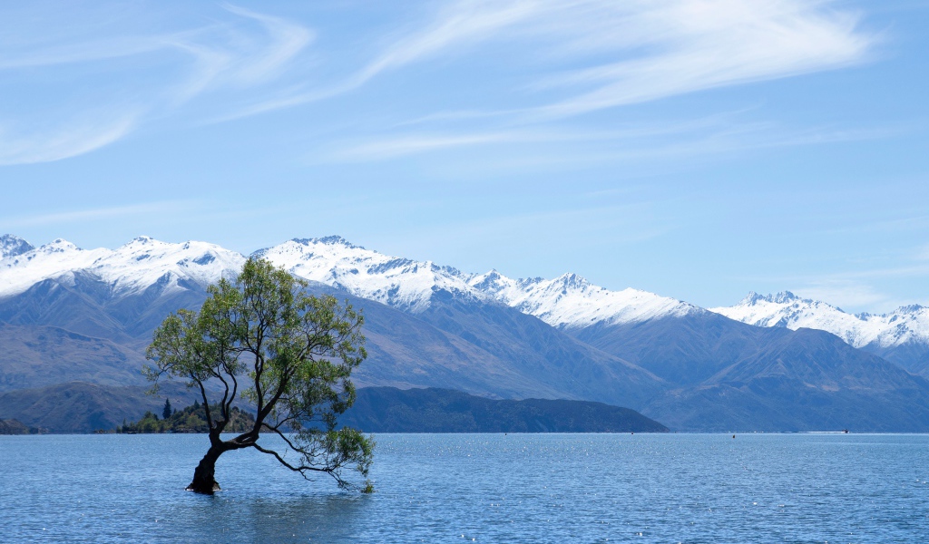 Одинокое дерево в воде на фоне гор под красивым небом