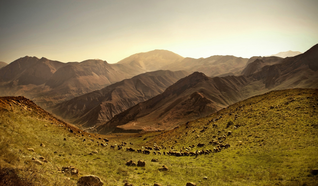Покрытые травой холмы у гор 